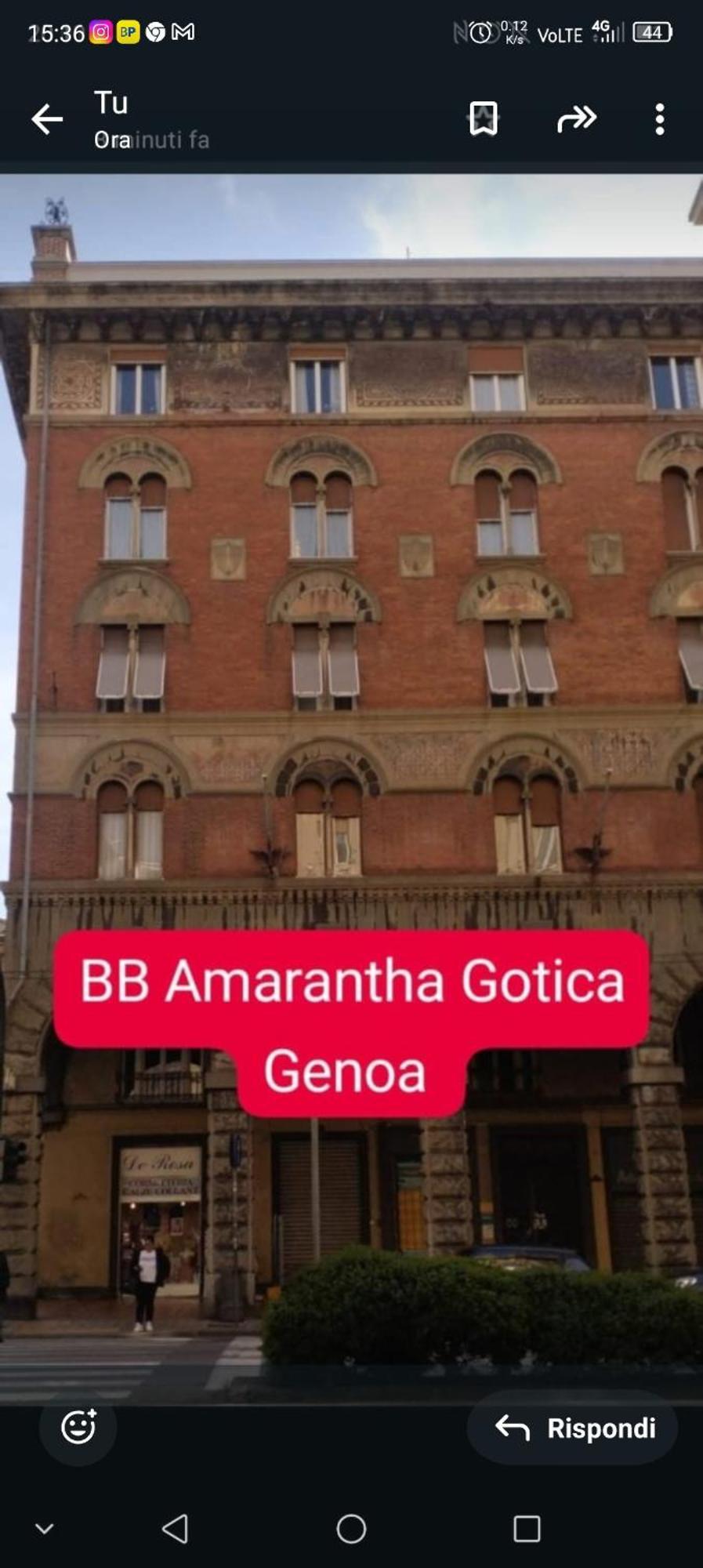 B&B Amarantha Gothica 제노바 외부 사진